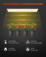 Spider Farmer SF600 LED Grow Light - High-Efficiency Spectrum for Indoor Plants