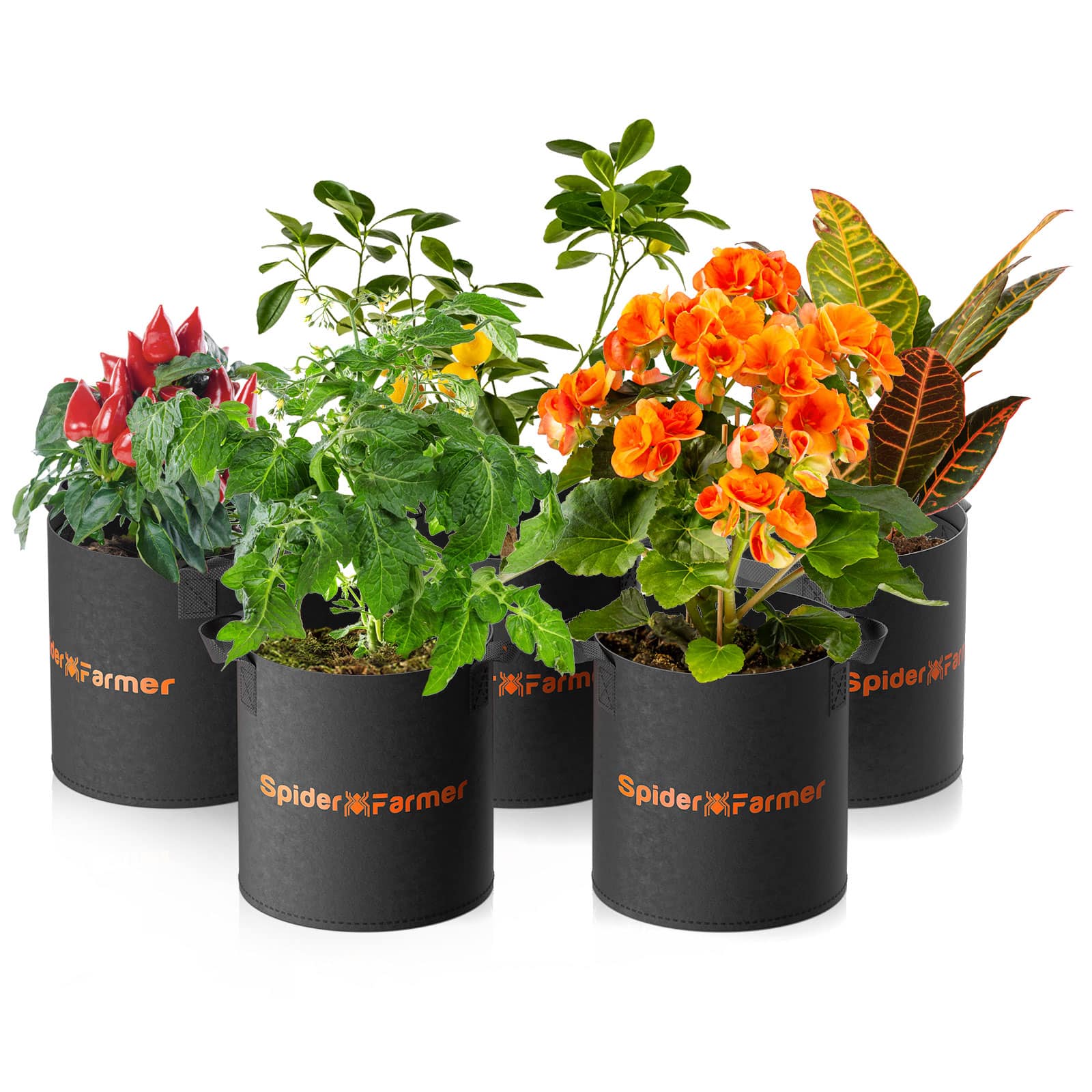 2/3/6 Tall Gallon garden pots planters grow bags nursery plant