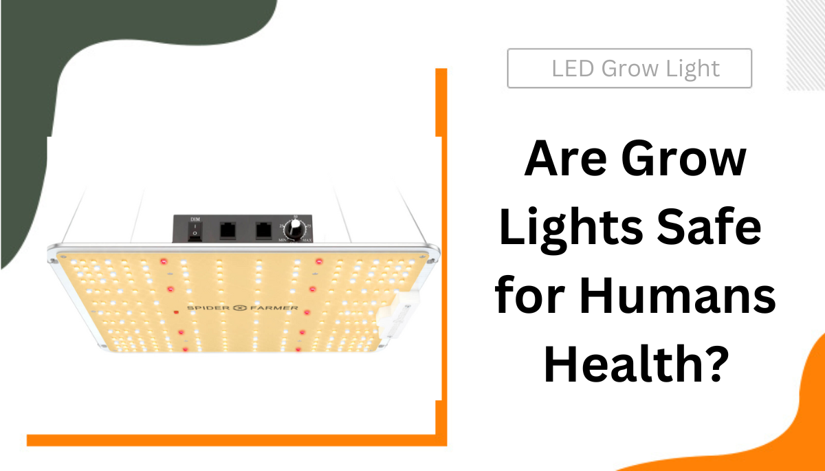Grow Lights for Indoor Plants and Indoor Gardening: An Overview - Modern  Farmer