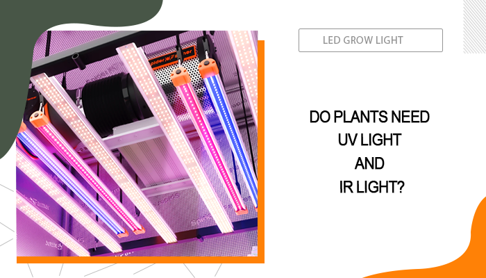 Do Plants Need UV Light and IR Light