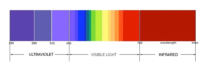 Does The Color Of Light Affect Growth Of Plants - Spider Farmer Official