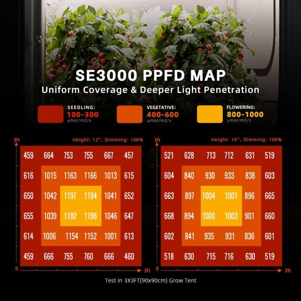 SE3000 EVO PPFD-MAP-90x90cm