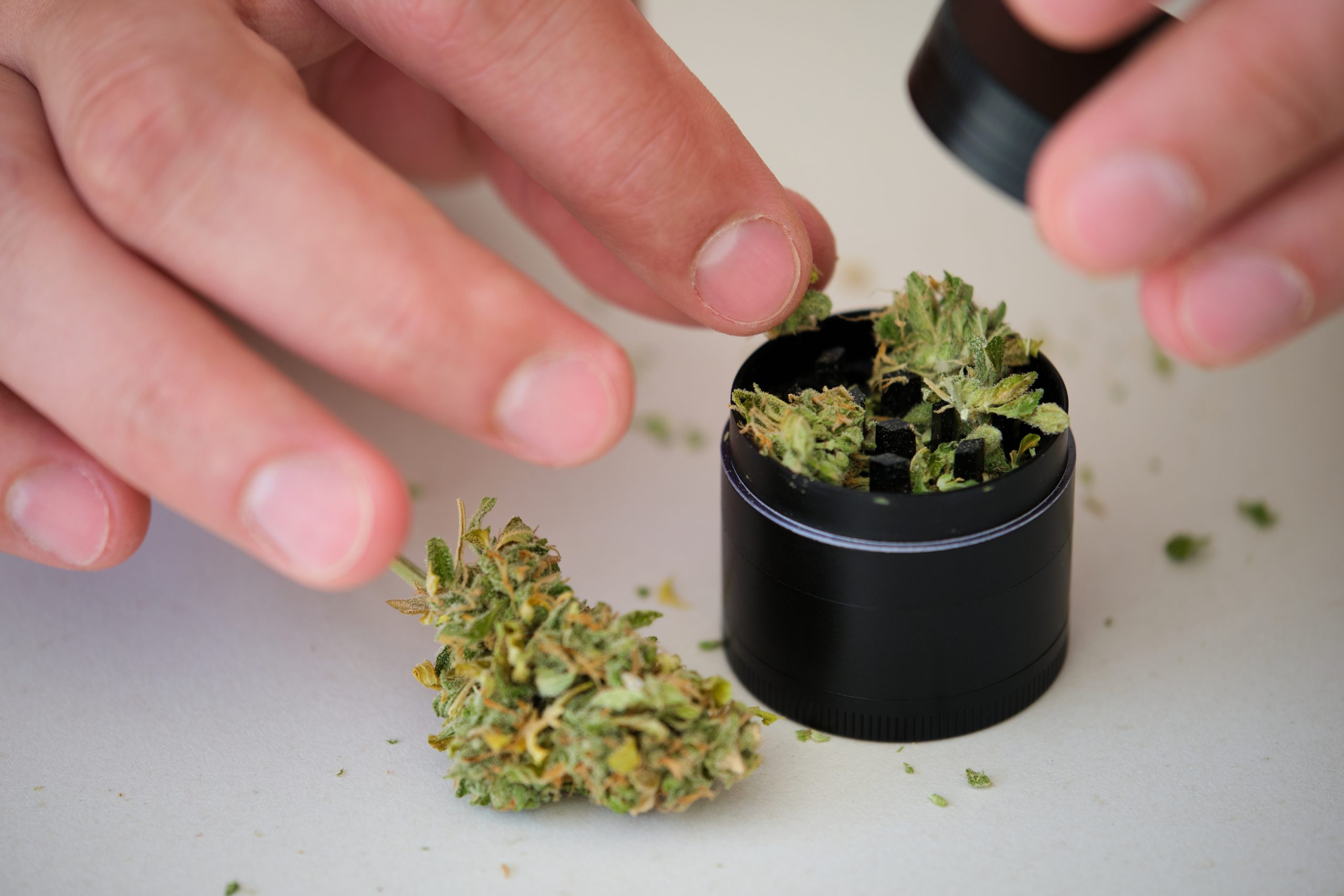 How to Grind Weed With or Without a Grinder - The Heritage Club