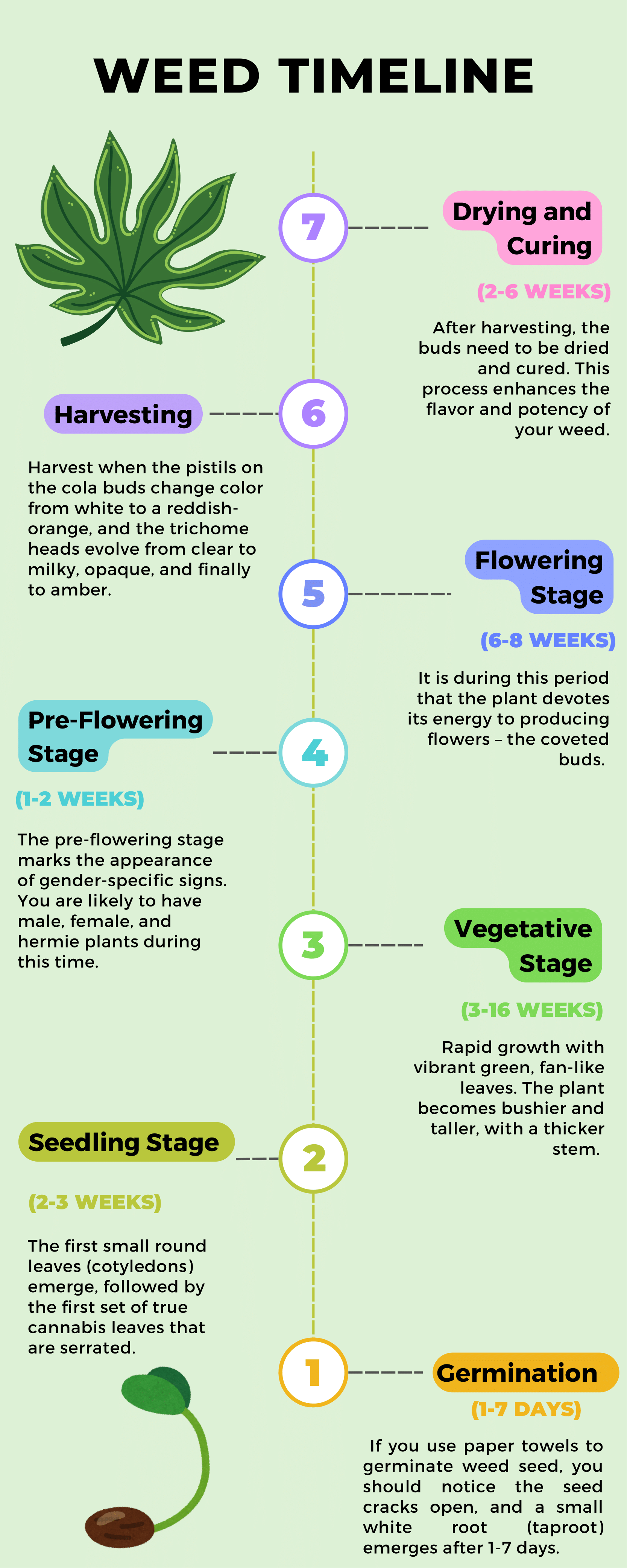weed growth stages