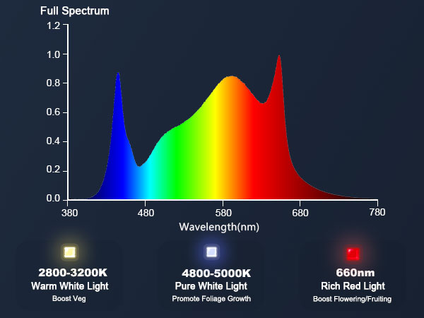 SE1000W-Spectrum Ratio