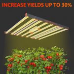 Spider Farmer 30W UV LED grow light bar for indoor plants, providing ultraviolet light spectrum essential for plant growth and development.