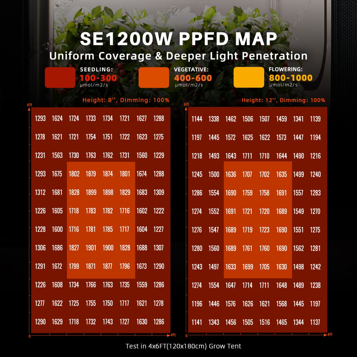 SE1200W EVO-PPFD MAP