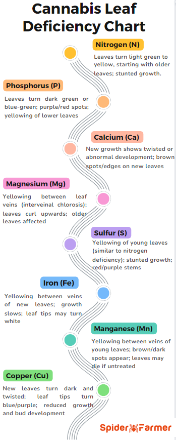 Cannabis Leaf Deficiency Chart​