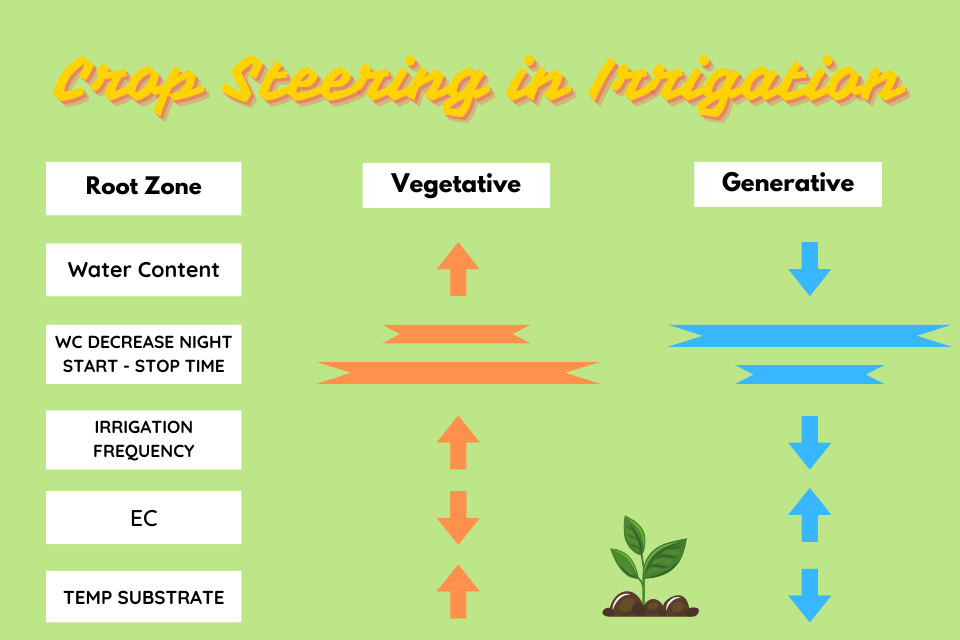 Crop Steering in irrigation