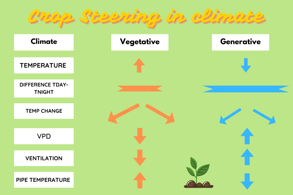 Crop Steering Cannabis in climate