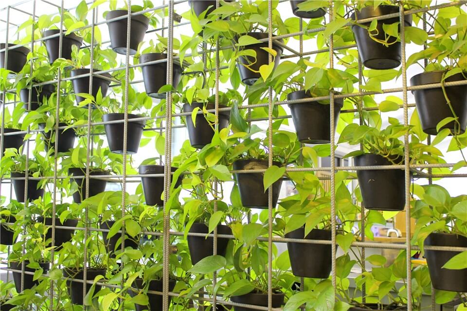 How to Make Vertical Gardening