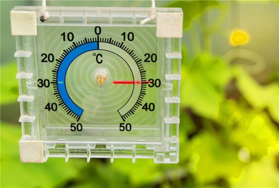 Control Temperature for Stunted Growth Plants