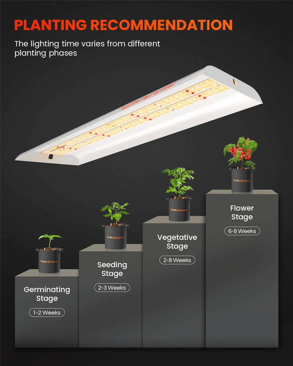 PPFD Grow Lights for Different Plant Growth Stages