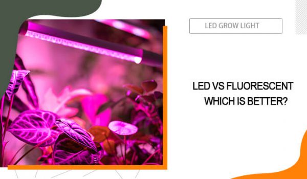 LED Vs Fluorescent