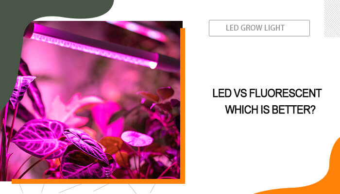 LED Vs Fluorescent