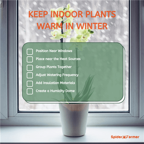 How to Keep Indoor Plants Warm in Winter