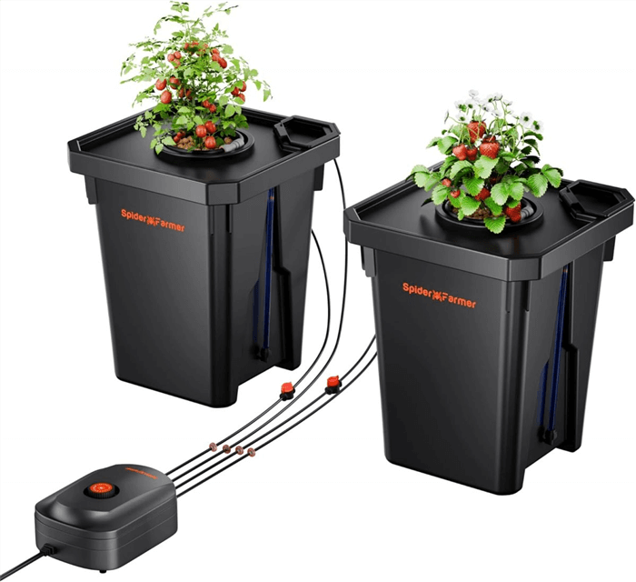 DWC Hydroponics System