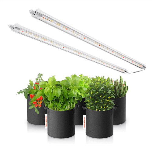 Last Minute Christmas Gifts - Glow80 80W LED Grow Lights