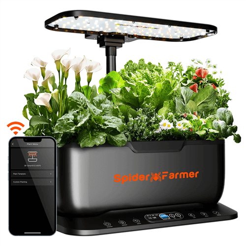 Last Minute Christmas Gifts - Hydroponics Growing System