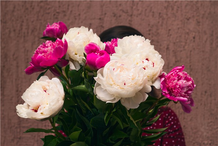 Flowers that Mean New Romance - Peonies