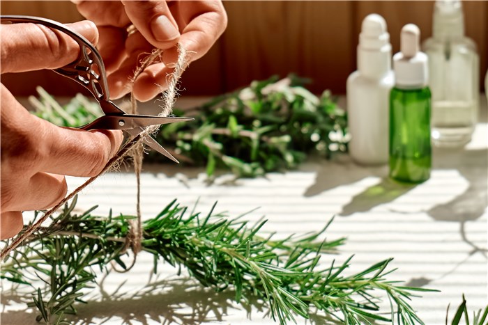 Flowers that Represent Healing and Reformation - Rosemary