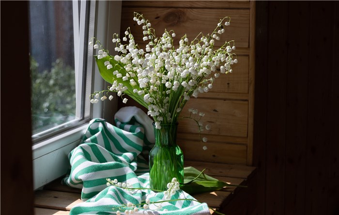 Flowers that Mean Rebirth - Lily of the Valley