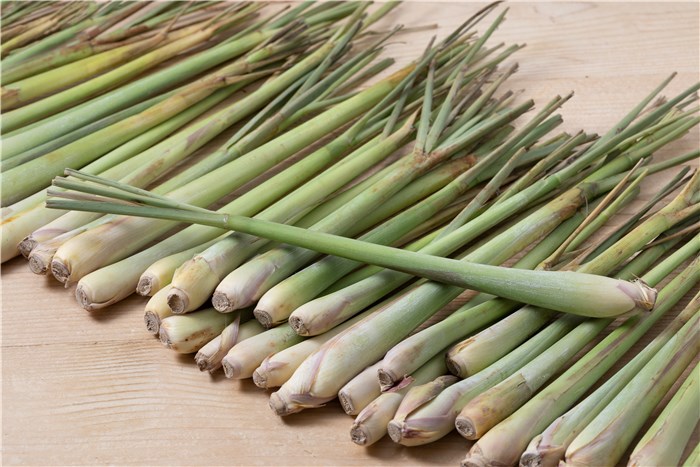 What Does Lemongrass Look Like