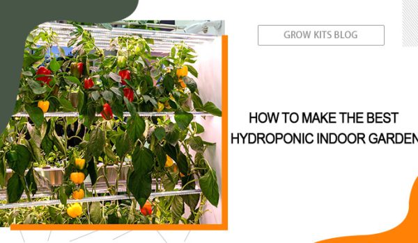 Make the Best Hydroponic Indoor Garden