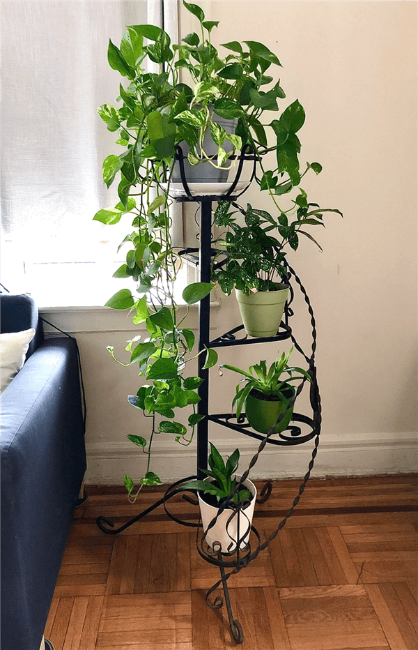 Indoor Plant Stand Ideas - Geometric Metal Plant Stands