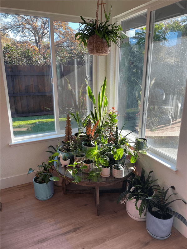 Indoor Plant Stand Ideas - Multi-Pot Holders