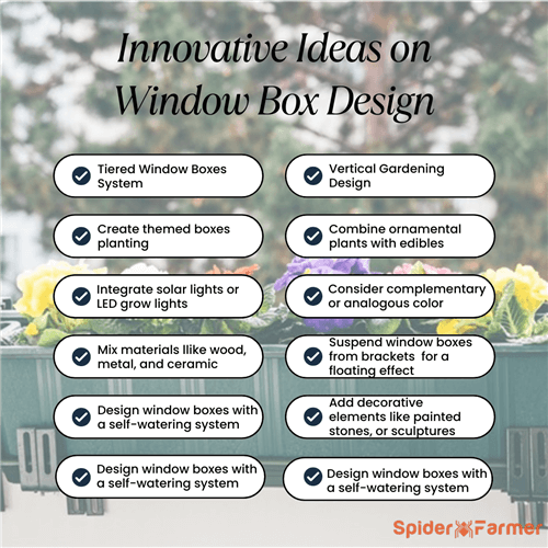 Window Box Design